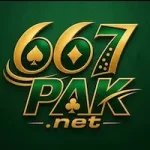 667pak game