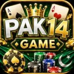 Pak14 Game